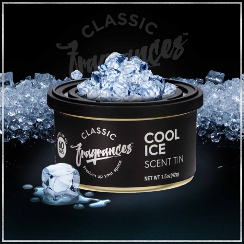 Oro gaiviklis skardinėje COOL ICE Designer Fragrances