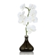 Senti Orchid Jasmine and Geranium 250 ml